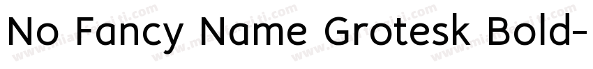 No Fancy Name Grotesk Bold字体转换
